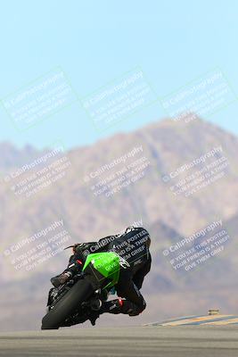 media/Jan-13-2024-SoCal Trackdays (Sat) [[9c032fe5aa]]/Turn 9 Backside (110pm)/